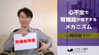 心機能編#17　心不全でなぜ腎機能が低下するかを生理学的に解説します！［心不全・心機能アカデミー］