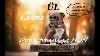 Hogyan tanítsam engedelmességre a kutyámat? #1 Dog's training HUN