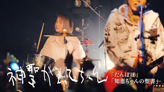 神聖かまってちゃん「たんぽぽ」「知恵ちゃんの聖書」Live at 08 17 2024  fc side story  @ 柏PALOOZA