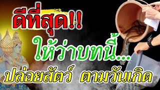 ดีที่สุด วิธีทำบุญปล่อยสัตว์ ตามวันเกิดท่าน ชชีวิตดีขึ้นทันตา เงินคล่องตัว ให้ว่าบทนี้