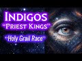 Indigo Children “PRIEST KINGS”: Ancient Starseed Guardians of Light