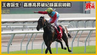 HKJC11月17日沙田草地第七場二級賽1200米 嘉應高昇 潘頓 短途新王者誕生！嘉應高昇破場地紀錄輕勝前哨戰  | 大衛希斯 | #競馬 #賽馬FactCheck