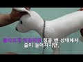 까망가게 bj 스테인레스 초크체인 착용법