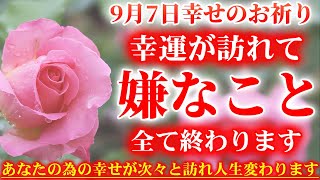 幸せを引き寄せる一輪の花です。9月7日の朝の浄化祈願