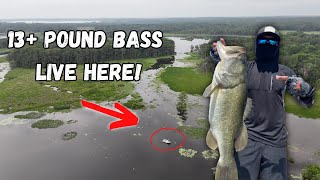 This FLORIDA Lake is known to have TROPHY sized BASS! (Bass Fishing Orange Lake!)