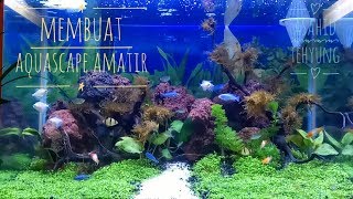 Cara Membuat Aquascape untuk Pemula (Amatir)