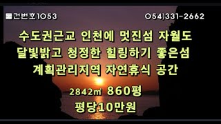 [물건번호1053. 인천 옹진군 자월면 수도권근교 청정지역 힐링하기 멋진 섬 자월도에 위치한 자연휴식공간 멋진 임야]