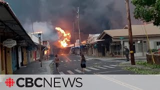 At least 36 confirmed dead in Hawaii wildfires