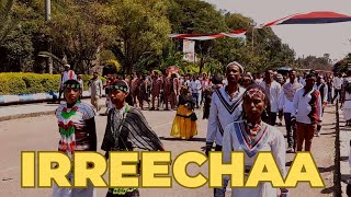 Irreechaaኢሬቻ2016