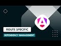 Understanding Route-Specific Dependency Management in Angular