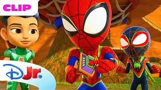 Marvel's Spidey and his Amazing Friends | Baddie Dinos Take Over the Tree House | @disneyjr