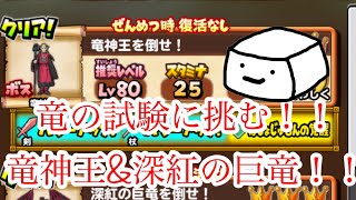 【星ドラ】竜の試練！竜神王と深紅の巨竜にパス勢が挑む！！