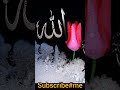 Subscribe#me#amjed#islamic#video#