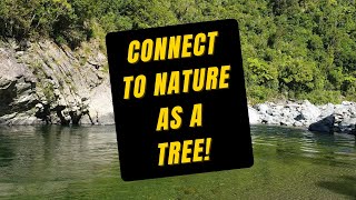 012 Connect To Nature And To The Energy Of The Sun And Earth | Become A Tree Hypnosis