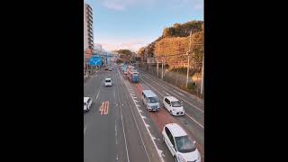 日本路面電車 東京都電荒川線 Tokyo Tram Toden line Japanses railway