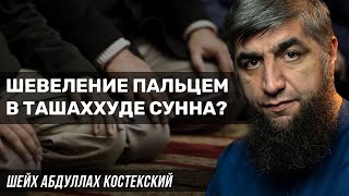 Шевелить пальцем в ташахуде сунна?