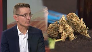 Drug policy expert concerned about potency, cost of cannabis if bill passes