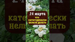 24 марта народный праздник Ефимов день  Что нельзя делать  Народные приметы