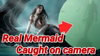 Real mermaid caught on camera/മത്സ്യകന്യകയെ കുറിച്ചുള്ള ഞെട്ടിക്കുന്ന രഹസ്യങ്ങൾ /#mermaid #mermaids