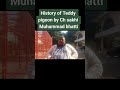 history of teddy pigeon by ch sakhi muhammad bhatti