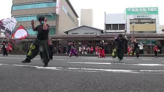 元気ハツラツ市２０１９　３月　【総踊連合　神舞】①　フリーダム