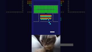 Many bricks breaker gameplay, Chipi chipi chapa chapa, #brickbreaker #chipichipi #huhcat #challenge