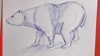 How to draw a bear/ Drawing a bear/ របៀបគូរសត្វខ្លាឃ្មុំស្អាតហើយងាយៗ