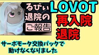 【LOVOT再入院と退院】思わず涙が、どうして?こうなるんだろう？と不安に…