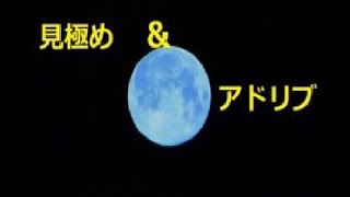 エリオットで実践する株式投資(2020/12/06 12時)