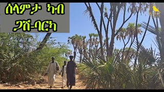 ሰላምታ ካብ ጋሽ-ባርካ - ሩባ ጋሽ |  Greetings From Gash-Barka | Eritrea 2023