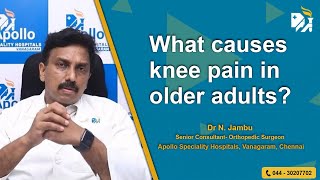 What causes knee pain in older adults?