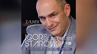 Igor Starovic \u0026 Divlji Kesten -  Kristina - ( Official Audio 2013 ) HD