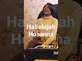 Hallelujah Hosanna to the king of kings #worship #worshipsongs #worshipmusic #worshipfromhome