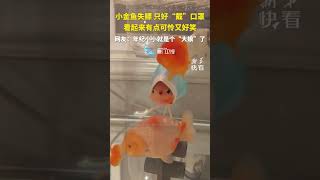 【萌寵】帽衫版小魚？小金魚失鰾只好「戴」口罩游泳