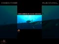 ナブラの下はマグロの楽園すぎた。【水中映像】 shorts