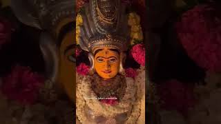 హన్మకొండ శ్రీ పద్మక్షి అమ్మకు నీరాజనం..#amma #durga #kanakadurgamma #srimatrenamaha