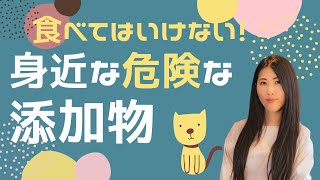 【食べてはいけない】身近にある添加物がなぜ危険なのかオーガニック的に解説します。