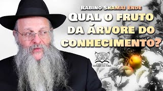 QUAL ERA O FRUTO DA ÁRVORE DO CONHECIMENTO? | Programa Láma Rabino 277