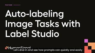 Auto-labeling Image Tasks with Label Studio