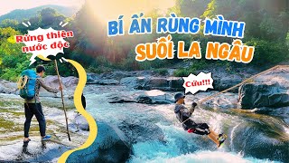 Khám Phá Bí Ẩn Suối La Ngâu - Con Suối Hung Hãn Giữa Rừng Sâu
