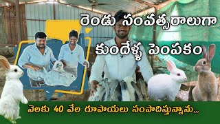 కుందేళ్ళ పెంపకం మంచి లాభాలు వస్తున్నాయి.Rabbit breeding is making good profits.#karshakavani#rabbit