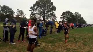 Finish of the 2016 GMC boys XC Championship race