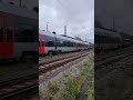 ebs lok treffen in naumburg dr elok trainspotting br143 br155 br156 weißelady