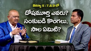 జెకర్యా 5:7,8,9 లో దోషమూర్తి ఎవరు? సంకుబడి కొంగలు, సాల ఏమిటి?