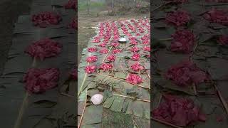 maghi festival in nepali rural village.