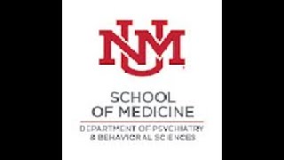 Law and Mental Health: Empirically Supported Risk Factors for Domestic Violence Recidivism: A