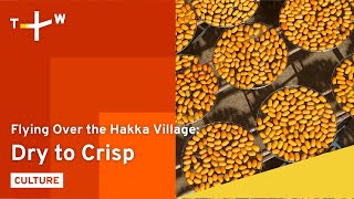 Dry to Crisp｜Ep. 14｜Flying over the Hakka Village｜TaiwanPlus