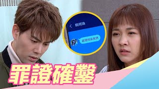 炮仔聲／EP314 家琇遭到暗殺David及時拯救 犯罪證據確指向明珠？｜三立新聞網 SETN.com