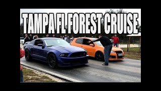 Tampa Streets Forest Cruise 3 - Tampa Car Meet | Tampa Car Scene