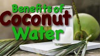 Amazing Benefits of coconut water ||ഇളനീർ വെള്ളം/തേങ്ങാവെള്ളം||ഇത്രയും ഗുണങ്ങളോ?